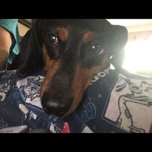 Meet your Posher, Kris